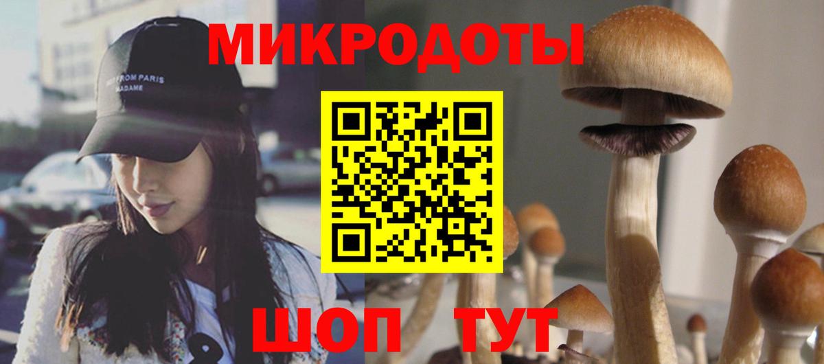 Кубинка  Галлюциногенные грибы Psilocybine cubensis  Вход с VPN 